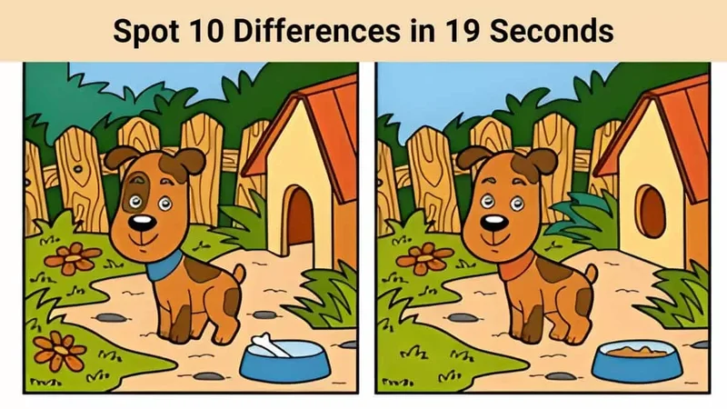 Spot Stock: Q3 Expectations vs. Reality