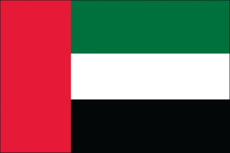UAE's Sudan Involvement: What's Happening and Why the International Community Missed It